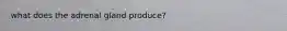 what does the adrenal gland produce?