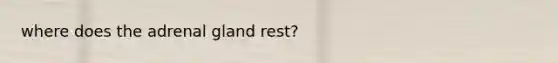 where does the adrenal gland rest?