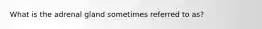 What is the adrenal gland sometimes referred to as?