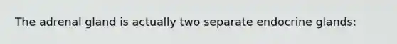 The adrenal gland is actually two separate endocrine glands:
