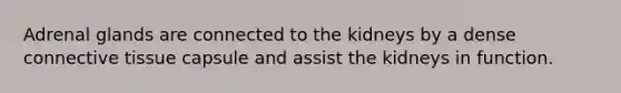Adrenal glands are connected to the kidneys by a dense connective tissue capsule and assist the kidneys in function.