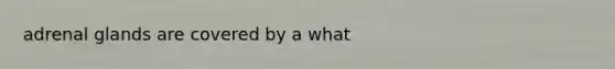 adrenal glands are covered by a what