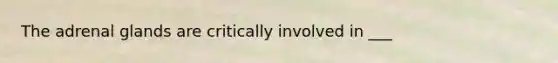 The adrenal glands are critically involved in ___