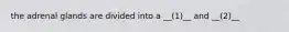 the adrenal glands are divided into a __(1)__ and __(2)__