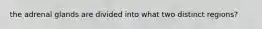 the adrenal glands are divided into what two distinct regions?