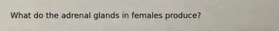 What do the adrenal glands in females produce?