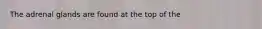 The adrenal glands are found at the top of the