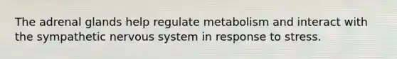 The adrenal glands help regulate metabolism and interact with the sympathetic nervous system in response to stress.