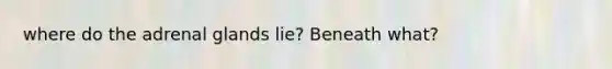 where do the adrenal glands lie? Beneath what?