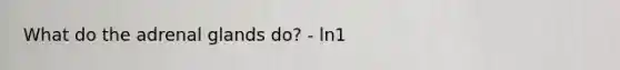What do the adrenal glands do? - ln1