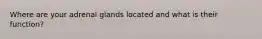 Where are your adrenal glands located and what is their function?