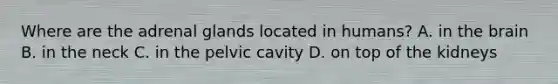 Where are the adrenal glands located in humans? A. in the brain B. in the neck C. in the pelvic cavity D. on top of the kidneys