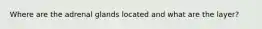 Where are the adrenal glands located and what are the layer?