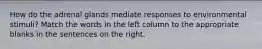 How do the adrenal glands mediate responses to environmental stimuli? Match the words in the left column to the appropriate blanks in the sentences on the right.