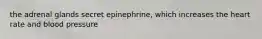 the adrenal glands secret epinephrine, which increases the heart rate and blood pressure