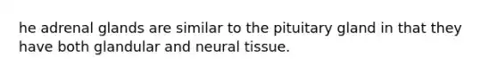 he adrenal glands are similar to the pituitary gland in that they have both glandular and neural tissue.