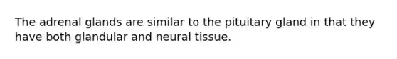 The adrenal glands are similar to the pituitary gland in that they have both glandular and neural tissue.