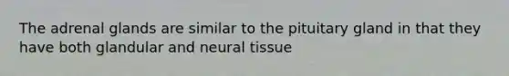 The adrenal glands are similar to the pituitary gland in that they have both glandular and neural tissue