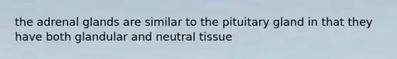 the adrenal glands are similar to the pituitary gland in that they have both glandular and neutral tissue