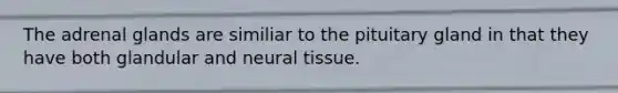 The adrenal glands are similiar to the pituitary gland in that they have both glandular and neural tissue.