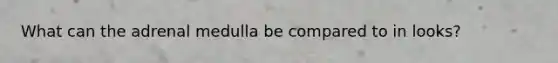What can the adrenal medulla be compared to in looks?