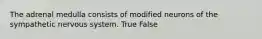 The adrenal medulla consists of modified neurons of the sympathetic nervous system. True False