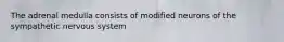 The adrenal medulla consists of modified neurons of the sympathetic nervous system