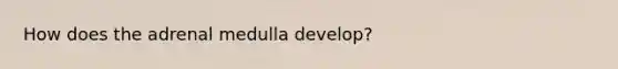How does the adrenal medulla develop?
