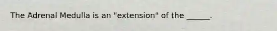 The Adrenal Medulla is an "extension" of the ______.