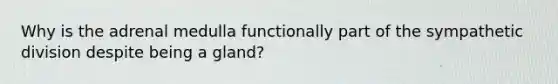 Why is the adrenal medulla functionally part of the sympathetic division despite being a gland?