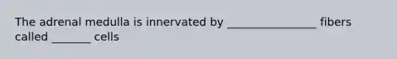 The adrenal medulla is innervated by ________________ fibers called _______ cells