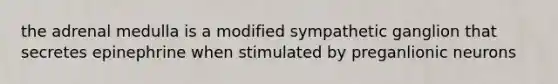 the adrenal medulla is a modified sympathetic ganglion that secretes epinephrine when stimulated by preganlionic neurons