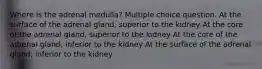 Where is the adrenal medulla? Multiple choice question. At the surface of the adrenal gland, superior to the kidney At the core of the adrenal gland, superior to the kidney At the core of the adrenal gland, inferior to the kidney At the surface of the adrenal gland, inferior to the kidney