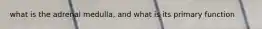 what is the adrenal medulla, and what is its primary function
