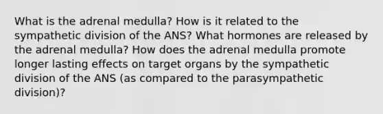 What is the adrenal medulla? How is it related to the sympathetic division of the ANS? What hormones are released by the adrenal medulla? How does the adrenal medulla promote longer lasting effects on target organs by the sympathetic division of the ANS (as compared to the parasympathetic division)?