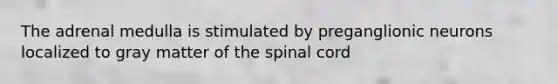 The adrenal medulla is stimulated by preganglionic neurons localized to gray matter of the spinal cord