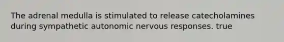 The adrenal medulla is stimulated to release catecholamines during sympathetic autonomic nervous responses. true