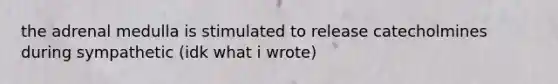 the adrenal medulla is stimulated to release catecholmines during sympathetic (idk what i wrote)