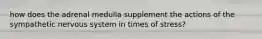 how does the adrenal medulla supplement the actions of the sympathetic nervous system in times of stress?