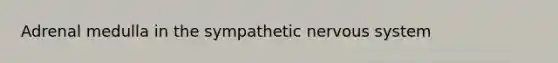 Adrenal medulla in the sympathetic nervous system