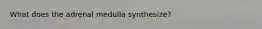 What does the adrenal medulla synthesize?