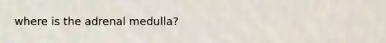 where is the adrenal medulla?