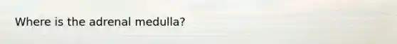 Where is the adrenal medulla?