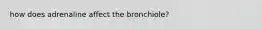 how does adrenaline affect the bronchiole?