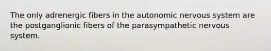 The only adrenergic fibers in the autonomic nervous system are the postganglionic fibers of the parasympathetic nervous system.