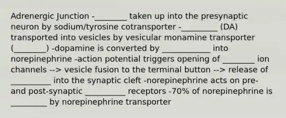 Adrenergic Junction -________ taken up into the presynaptic neuron by sodium/tyrosine cotransporter -_________ (DA) transported into vesicles by vesicular monamine transporter (________) -dopamine is converted by ____________ into norepinephrine -action potential triggers opening of ________ ion channels --> vesicle fusion to the terminal button --> release of __________ into the synaptic cleft -norepinephrine acts on pre- and post-synaptic __________ receptors -70% of norepinephrine is _________ by norepinephrine transporter