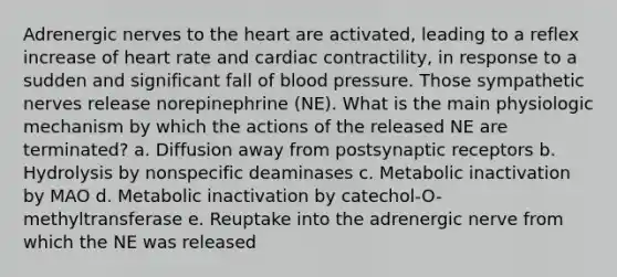 Adrenergic nerves to the heart are activated, leading to a reflex increase of heart rate and cardiac contractility, in response to a sudden and significant fall of blood pressure. Those sympathetic nerves release norepinephrine (NE). What is the main physiologic mechanism by which the actions of the released NE are terminated? a. Diffusion away from postsynaptic receptors b. Hydrolysis by nonspecific deaminases c. Metabolic inactivation by MAO d. Metabolic inactivation by catechol-O-methyltransferase e. Reuptake into the adrenergic nerve from which the NE was released