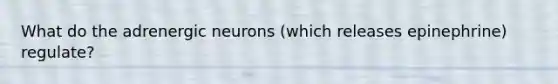 What do the adrenergic neurons (which releases epinephrine) regulate?