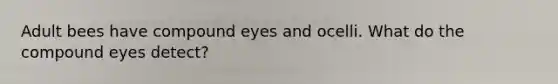 Adult bees have compound eyes and ocelli. What do the compound eyes detect?