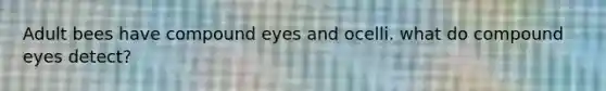 Adult bees have compound eyes and ocelli. what do compound eyes detect?